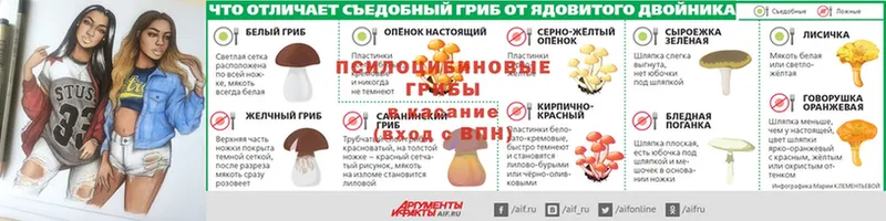 Псилоцибиновые грибы мухоморы  сайты даркнета какой сайт  Ульяновск  продажа наркотиков 